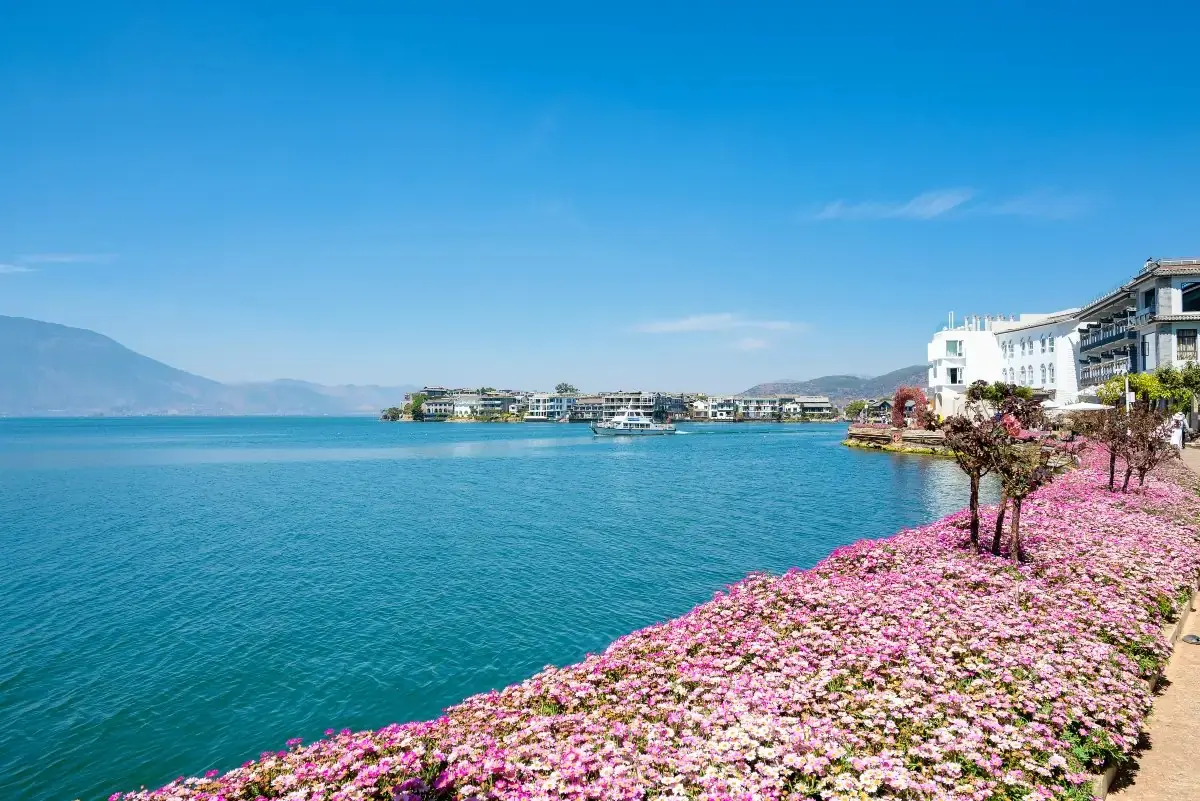 Erhai Lake at Dali in Yunnan in natural daylight — the shore at Shuanglang with its white Bai houses