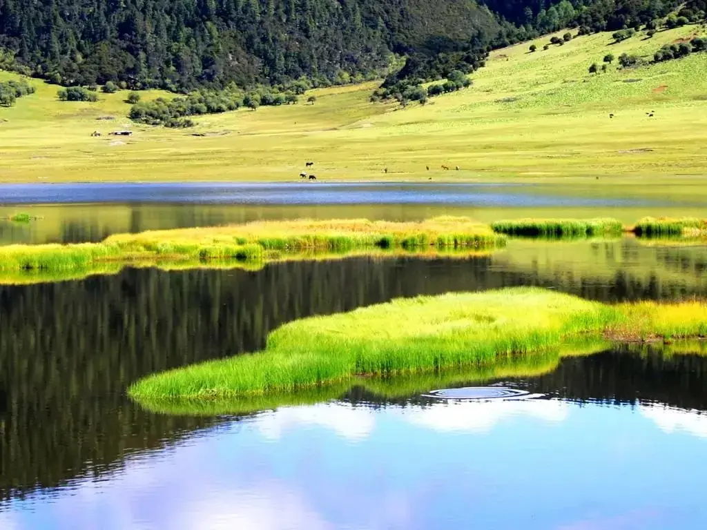 Pudacuo National Park near Shangri-La in Yunnan — a sunny alpine lake edged with green meadows